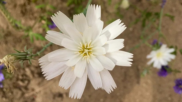 1-8374.jpg