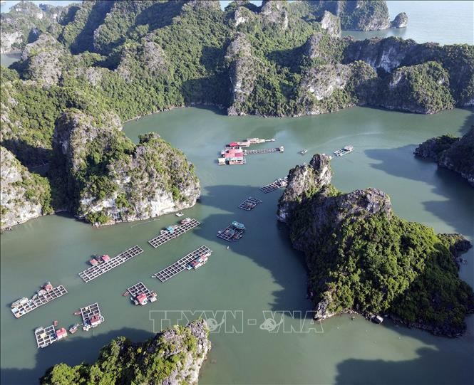 lang-chai-vung-vieng-14082024-01-1421.jpg