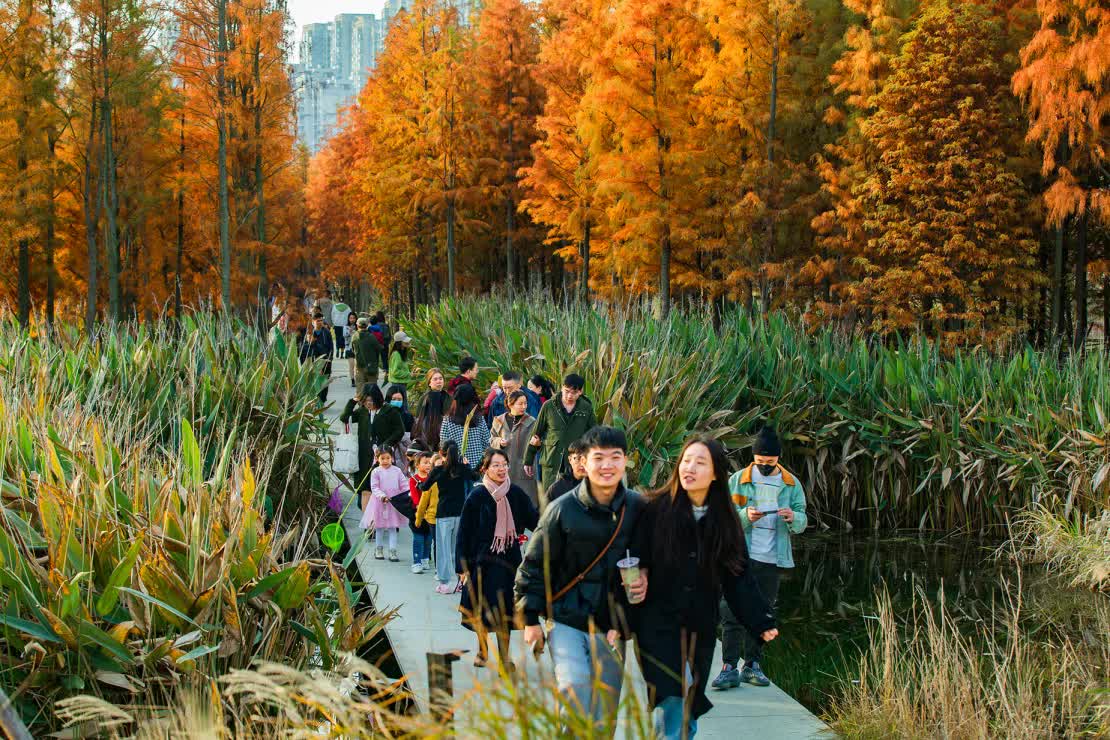 nanchang-fish-tail-park-nanchang-jiangxi-province-china-2021-photo-turenscape-courtesy-the-cultural-landscape-foundation-2-1723628790128188109806.jpg
