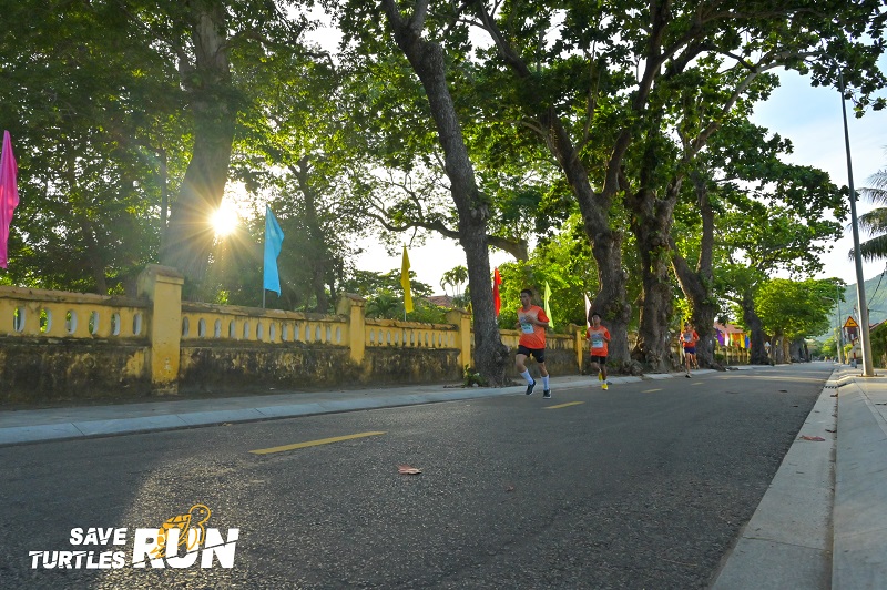 Chạy bộ vì rùa biển 2024