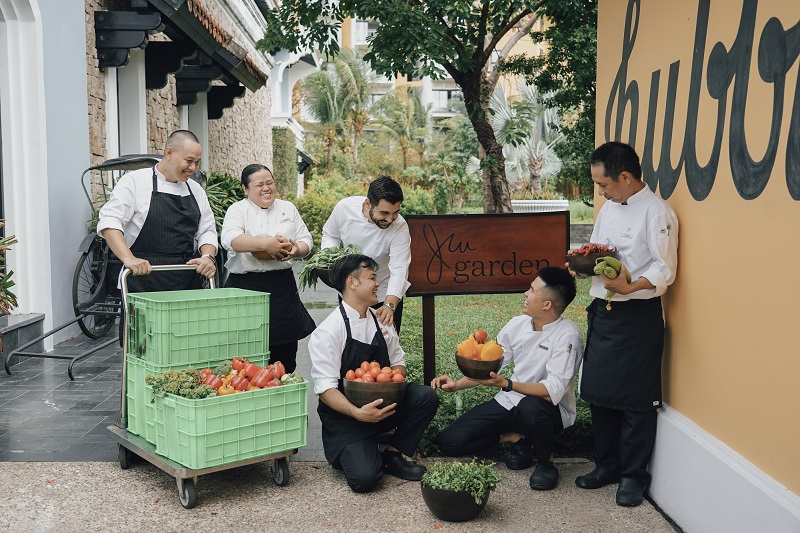 Công việc thu hoạch rau xanh tại JW Garden