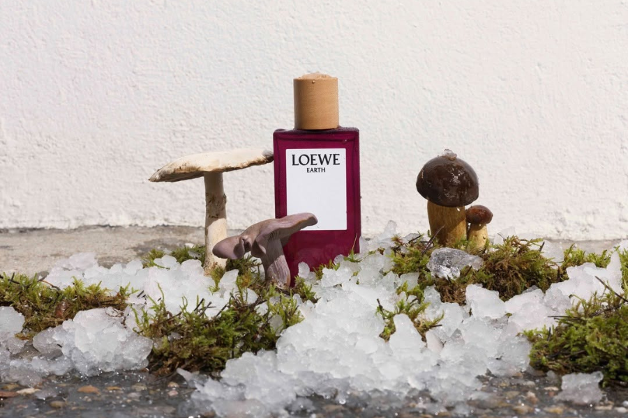 Quà tặng tinh tế từ LOEWE  dành cho Ngày Phụ nữ Việt Nam
