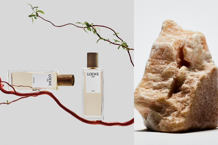 loewe-botanical-rainbow---hanh-trinh-huong-tinh-hoa-tu-tay-ban-nha_68f21ee47d28b.png