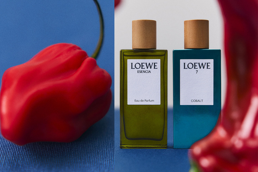 loewe-botanical-rainbow---hanh-trinh-huong-tinh-hoa-tu-tay-ban-nha_68f21ee5816f0.png