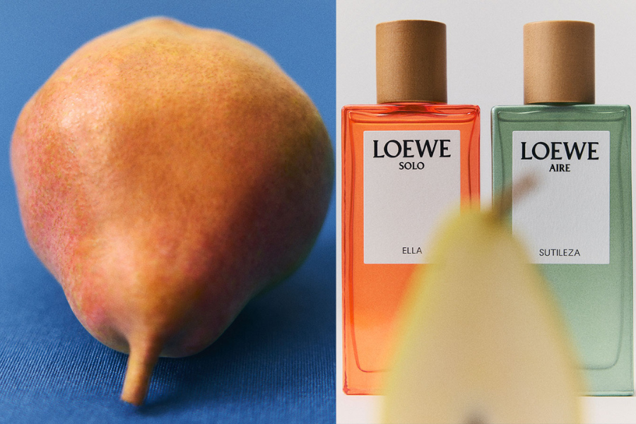 loewe-botanical-rainbow---hanh-trinh-huong-tinh-hoa-tu-tay-ban-nha_68f21ee597768.png