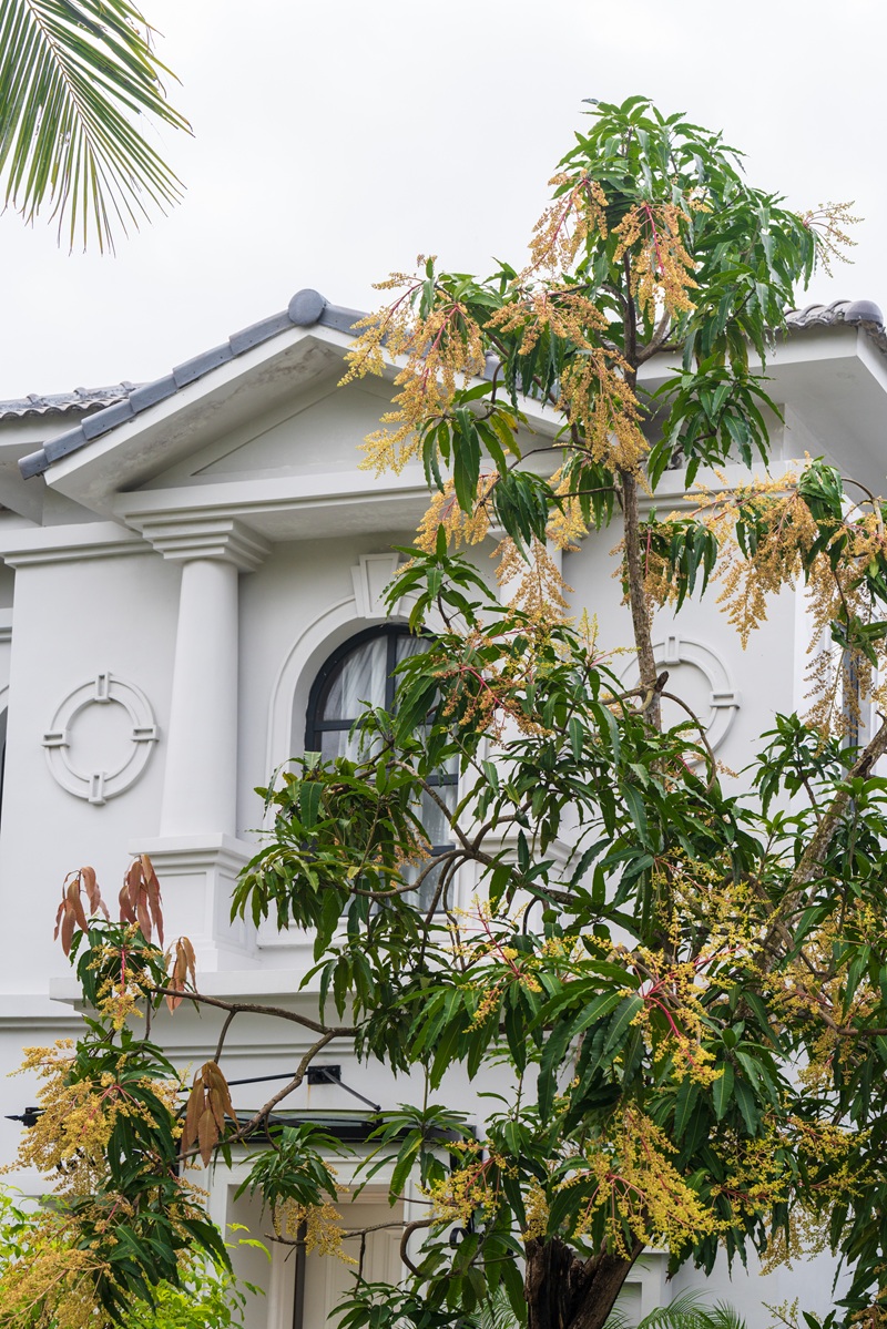 Danang Marriott Non Nuoc Beach Villas