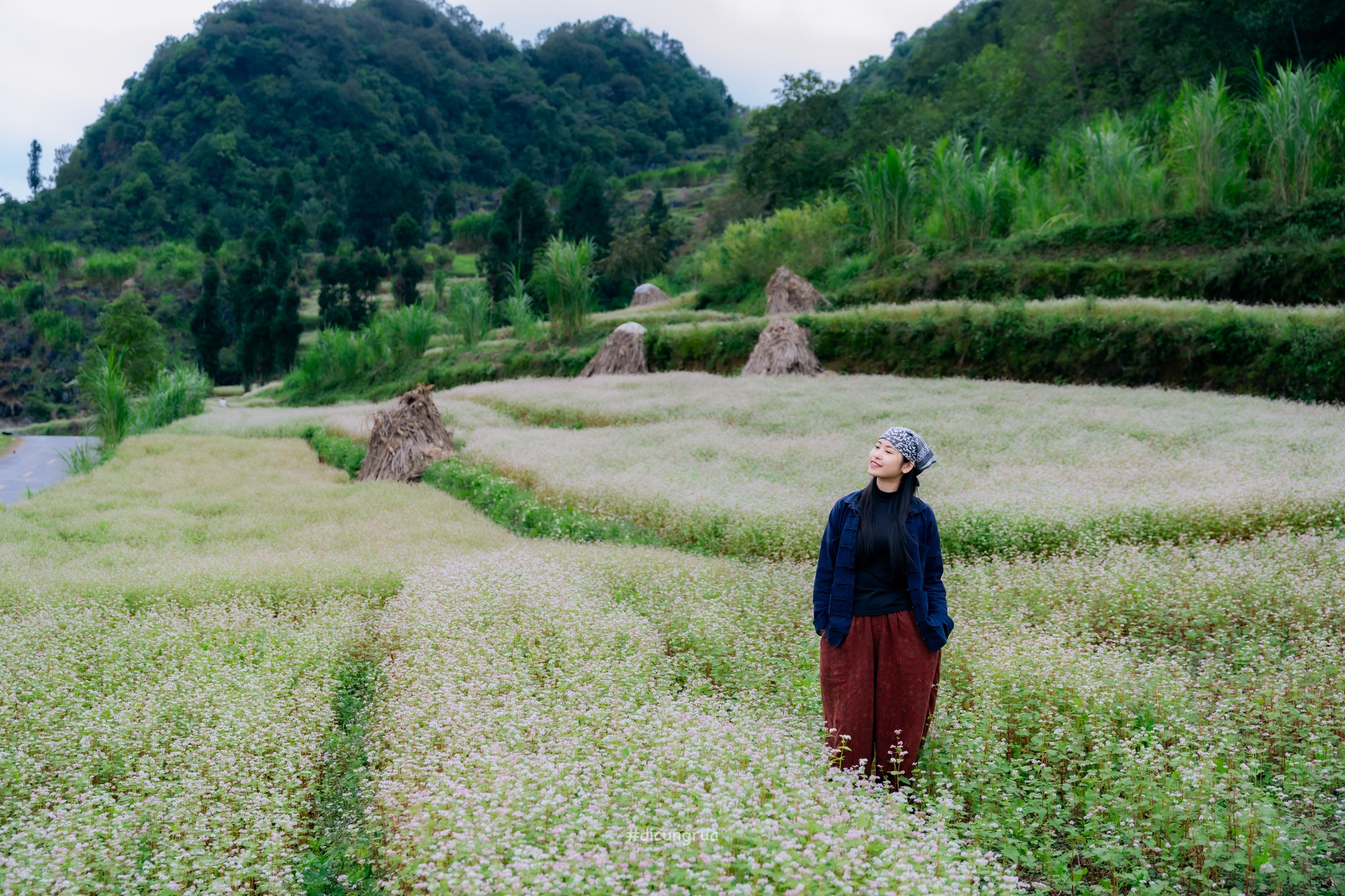 Hà Giang mùa tam giác mạch – hành trình giữa biển hồng nơi cực bắc Tổ quốc