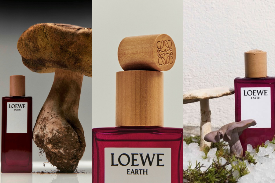 loewe-earth---khi-thien-nhien-cham-den-tam-hon-hien-dai_691dd0a5a9560.png