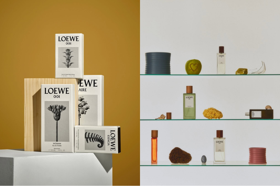 loewe--qua-le-hoi-huong-thom-tinh-hoa_69425d568755d.png