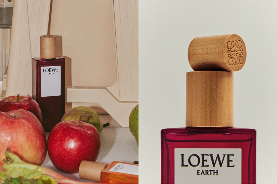 loewe--qua-le-hoi-huong-thom-tinh-hoa_69425d57857f1.png