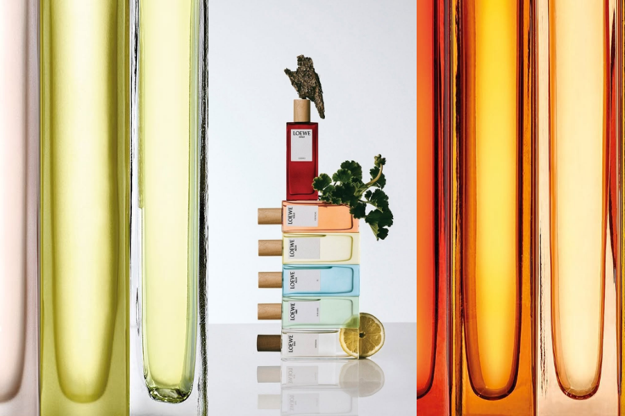 loewe--qua-le-hoi-huong-thom-tinh-hoa_69425d5787cb3.png
