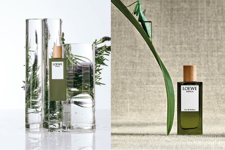 loewe--qua-le-hoi-huong-thom-tinh-hoa_69425d57be21e.png