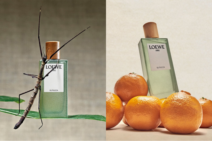 loewe-sutileza---lan-gio-thanh-khiet-cho-phong-cach-hien-dai_69341fbc453b0.png