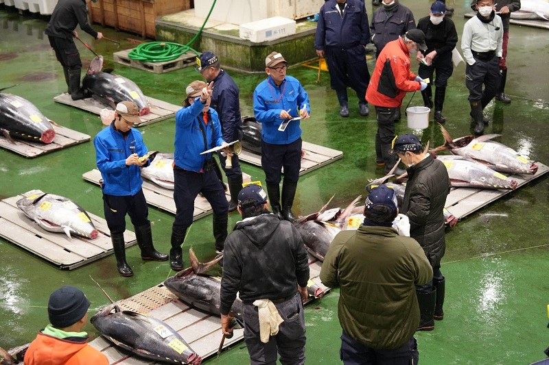 Không gian chợ cá Tsukiji sôi động giữa Sài gòn