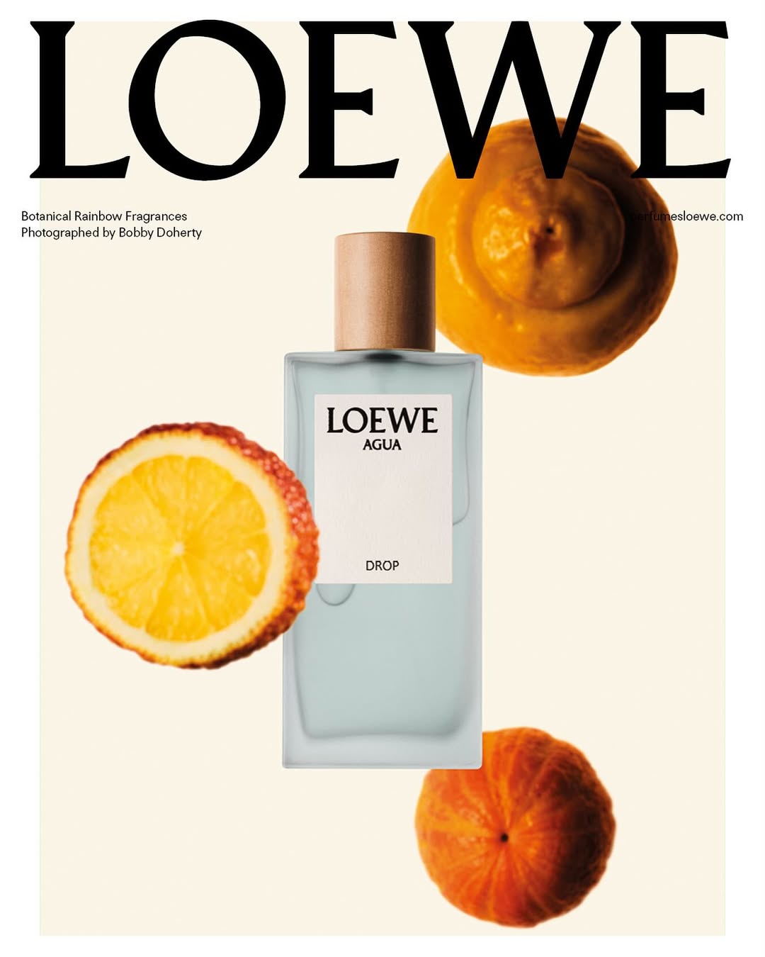 loewe-botanical-rainbow--dai-huong-sac-goi-nho-mot-cuoc-dao-choi-giua-thien-nhien_686fbc08cd3b5.jpg