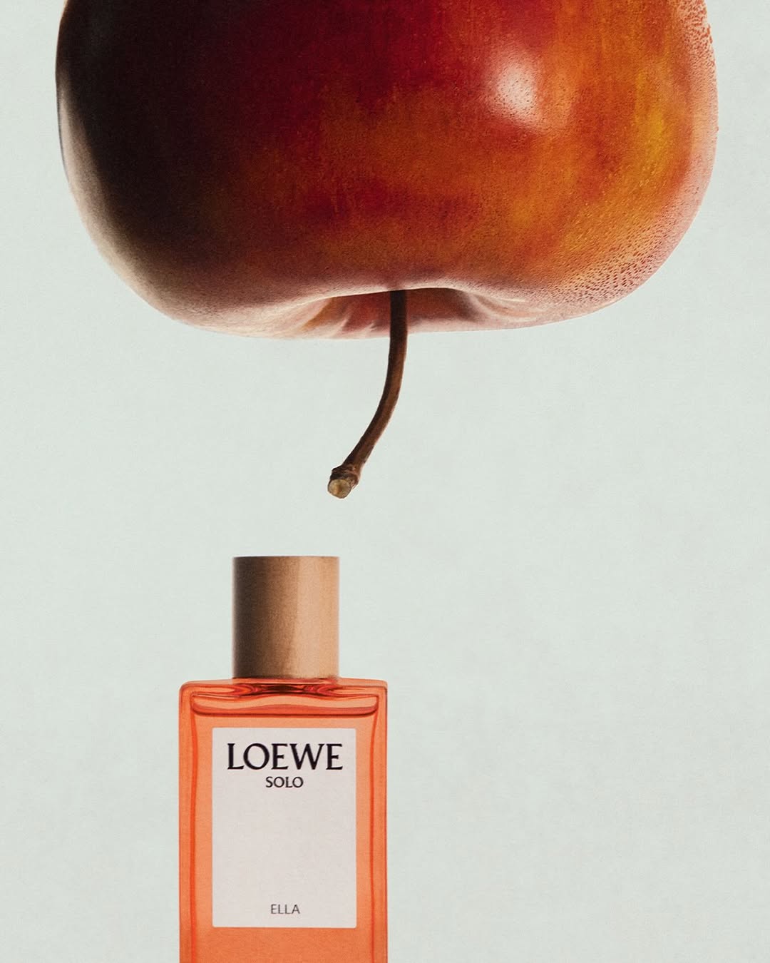 loewe-botanical-rainbow--dai-huong-sac-goi-nho-mot-cuoc-dao-choi-giua-thien-nhien_686fbc08eb689.jpg