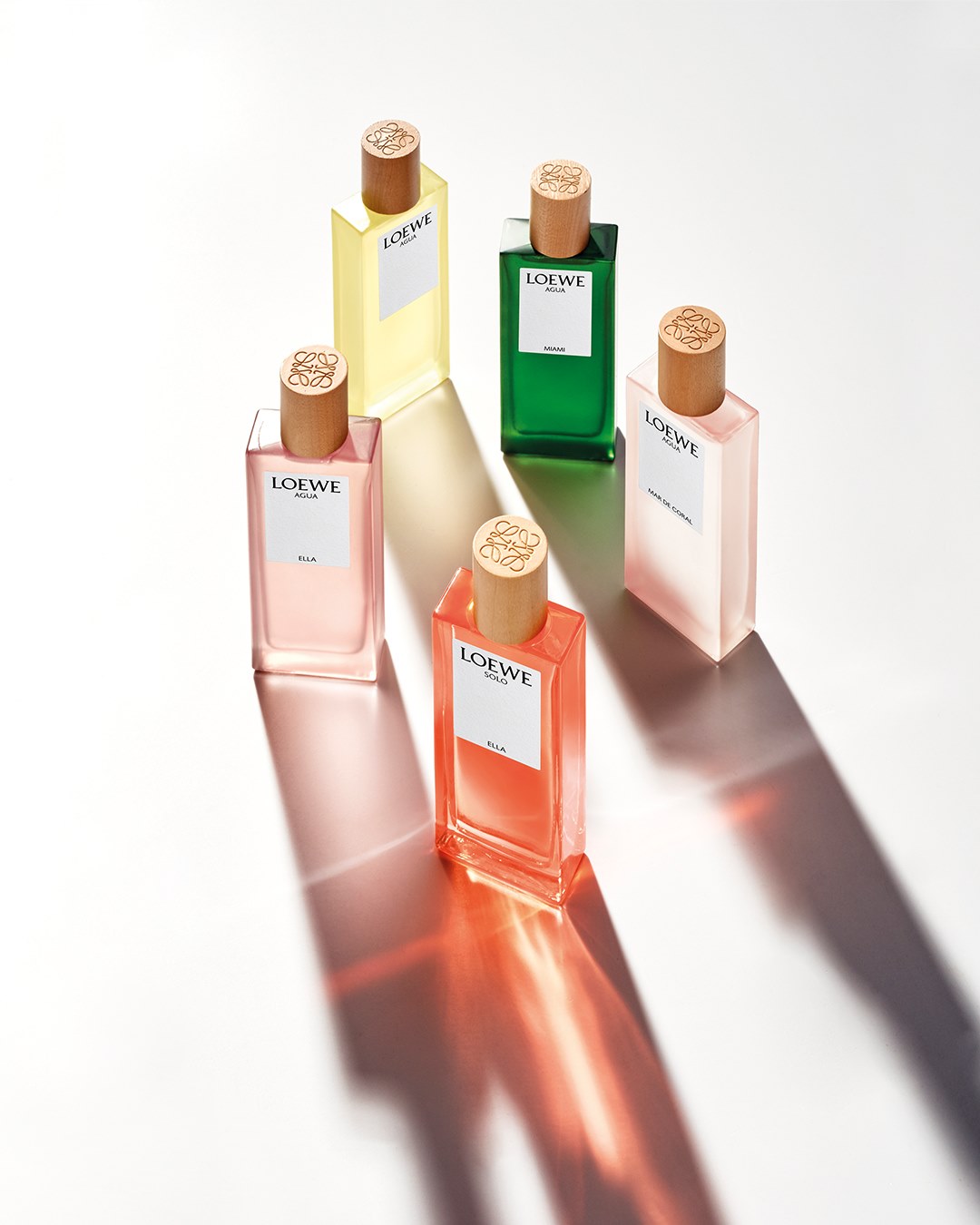 loewe-botanical-rainbow--dai-huong-sac-goi-nho-mot-cuoc-dao-choi-giua-thien-nhien_686fbc09049c5.jpg