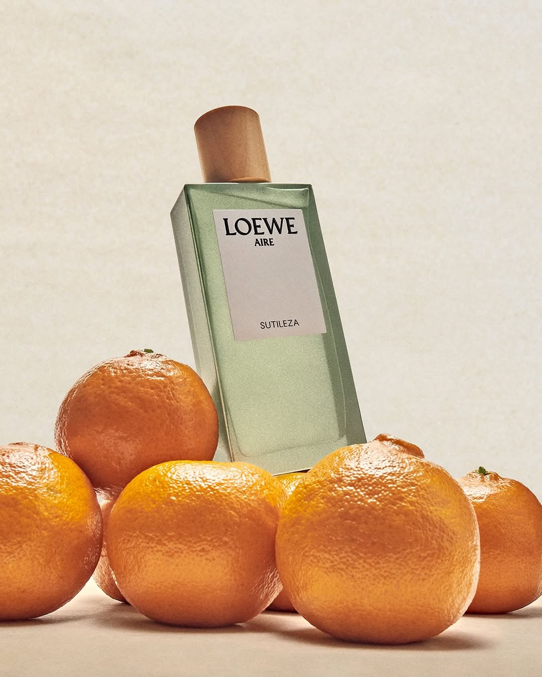loewe-botanical-rainbow--dai-huong-sac-goi-nho-mot-cuoc-dao-choi-giua-thien-nhien_686fbc091ed6f.jpg