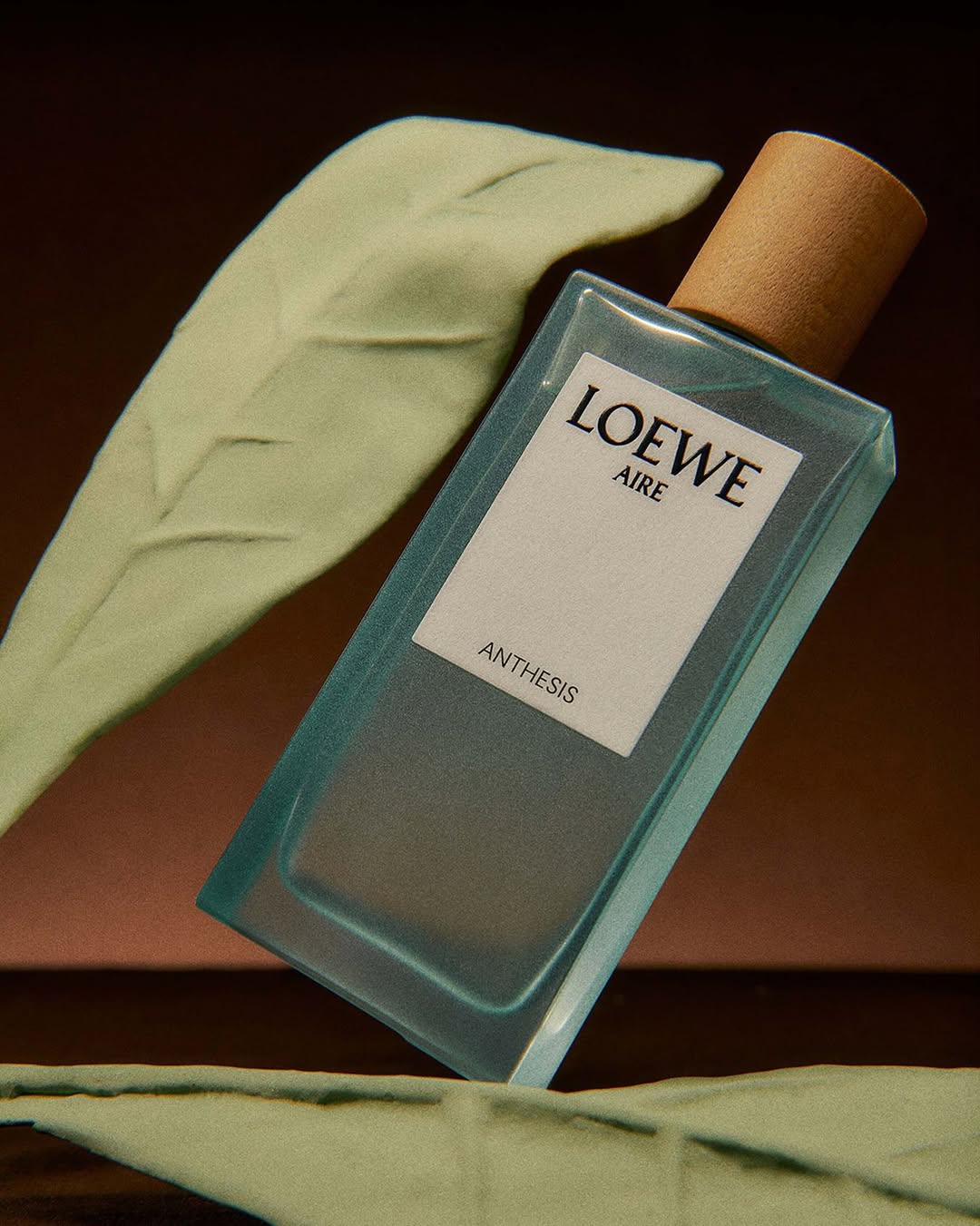 loewe-botanical-rainbow--dai-huong-sac-goi-nho-mot-cuoc-dao-choi-giua-thien-nhien_686fbc092a54c.jpg