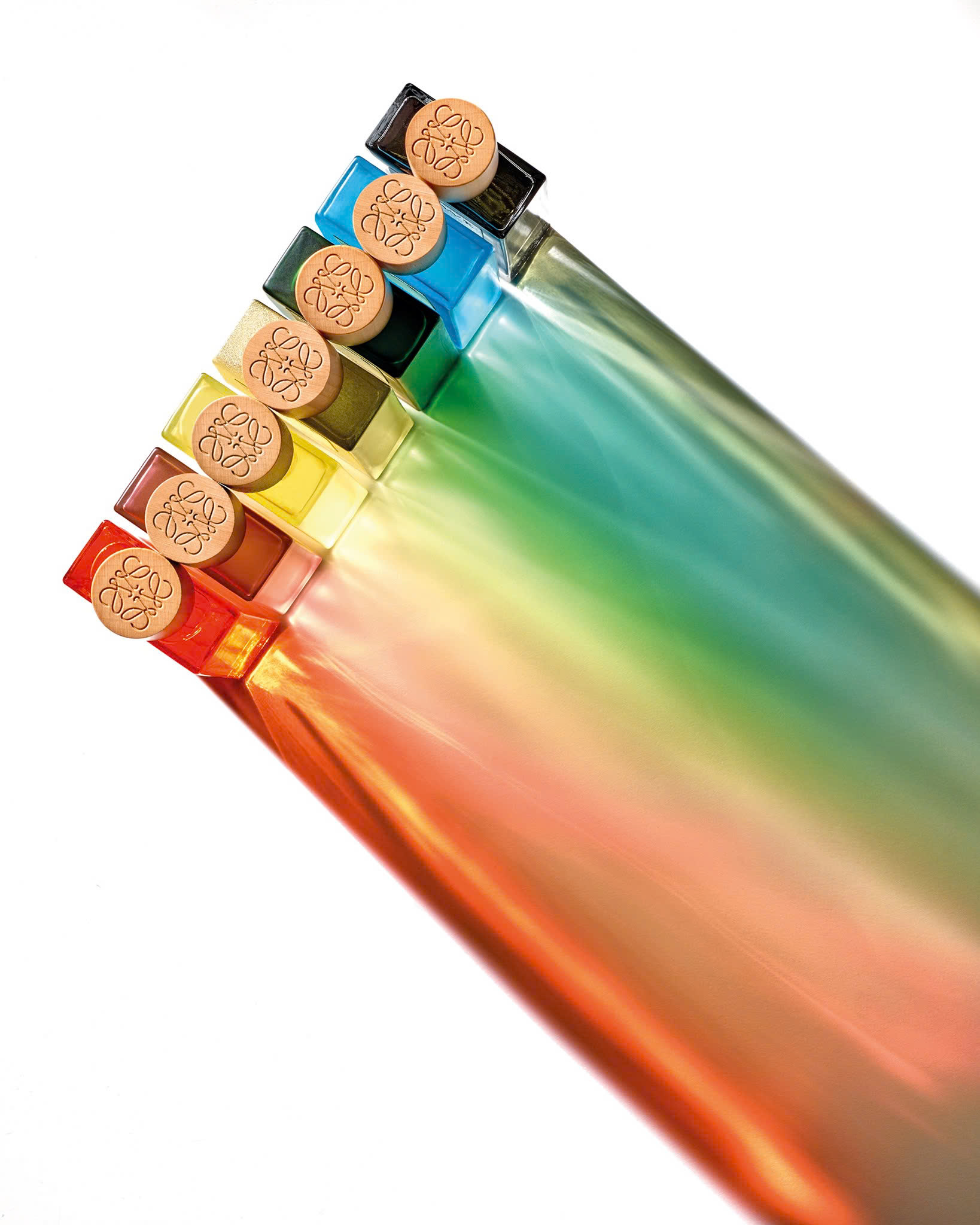 loewe-botanical-rainbow--dai-huong-sac-goi-nho-mot-cuoc-dao-choi-giua-thien-nhien_686fbc0946452.jpg