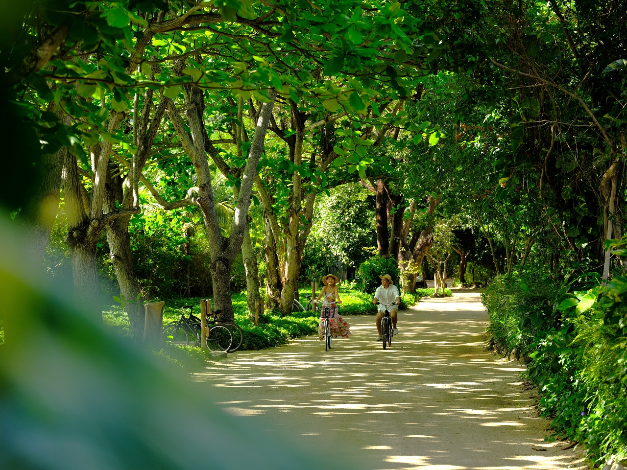 L’Alya Ninh Vân Bay