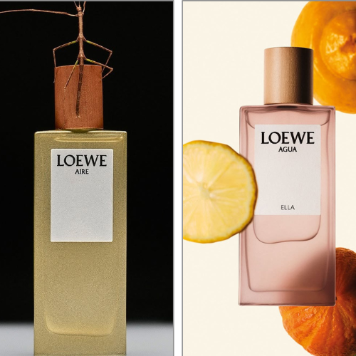 loewe---thap-len-huong-sac-cuoi-ha--khi-layering-tro-thanh-nghe-thuat-ca-nhan_689e99c10ee27.png