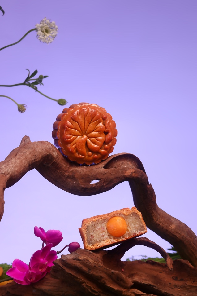 A moon cake on a branch

AI-generated content may be incorrect.