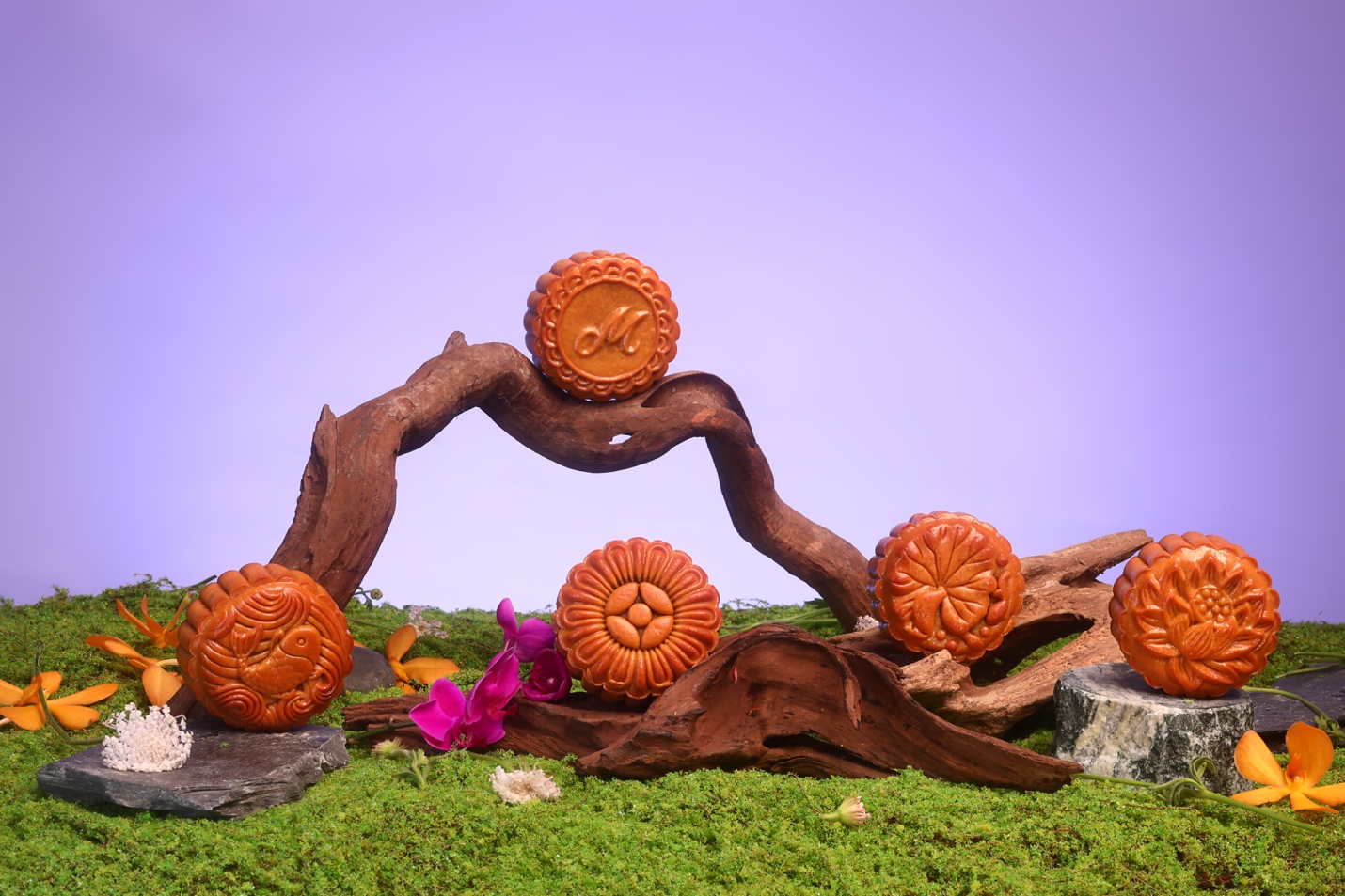 A group of round objects on a piece of wood

AI-generated content may be incorrect.