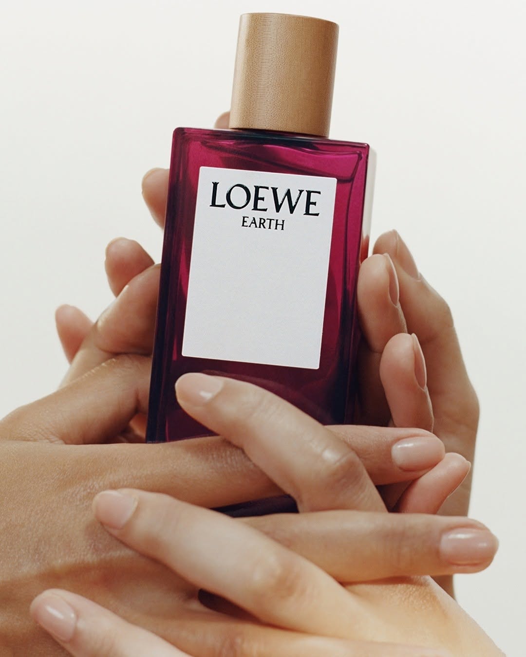tinh-tuy-tay-ban-nha-trong-tung-lan-huong-loewe_68aee13c659ff.jpg