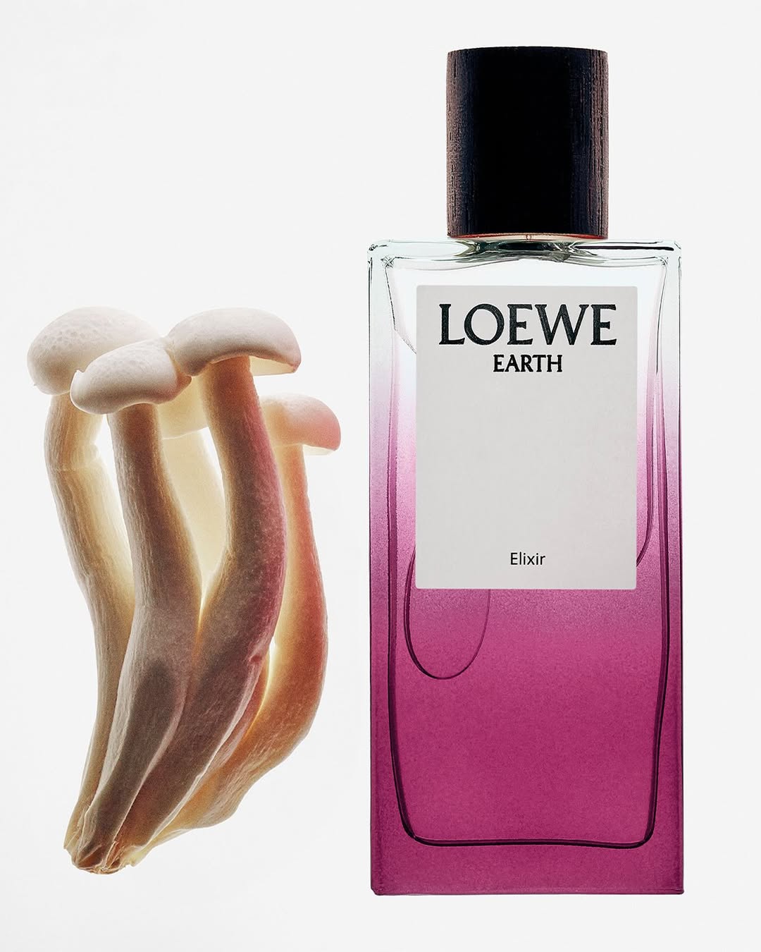 tinh-tuy-tay-ban-nha-trong-tung-lan-huong-loewe_68aee13cd274f.jpg