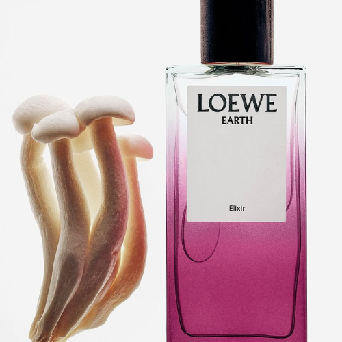loewe---chan-dung-noi-tam-duoc-ve-bang-huong-sac_68d4d94a01085.png