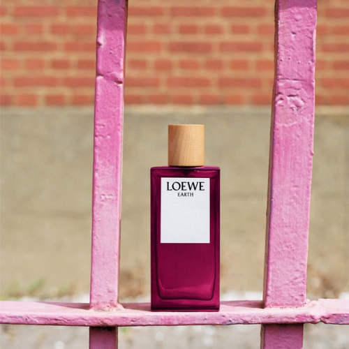 loewe---chan-dung-noi-tam-duoc-ve-bang-huong-sac_68d4d94a2b058.png