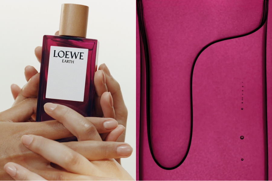 chau-bui-hoi-ngo-loewe-perfumes-trong-su-kien-ra-mat-cua-hang-flagship-tai-seongsu-han-quoc_696f9abd4b955.png
