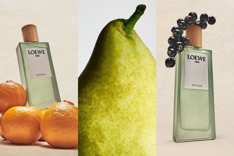 chau-bui-hoi-ngo-loewe-perfumes-trong-su-kien-ra-mat-cua-hang-flagship-tai-seongsu-han-quoc_696f9abde0861.png