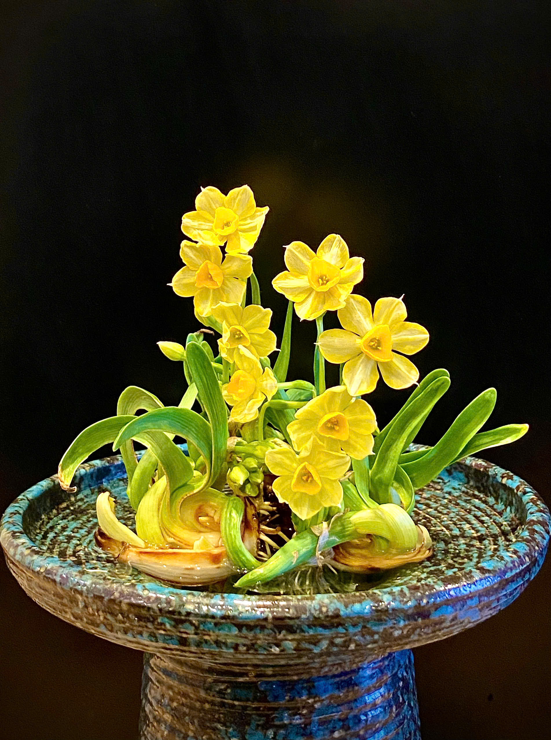 Ăn Tết Thủy Tiên