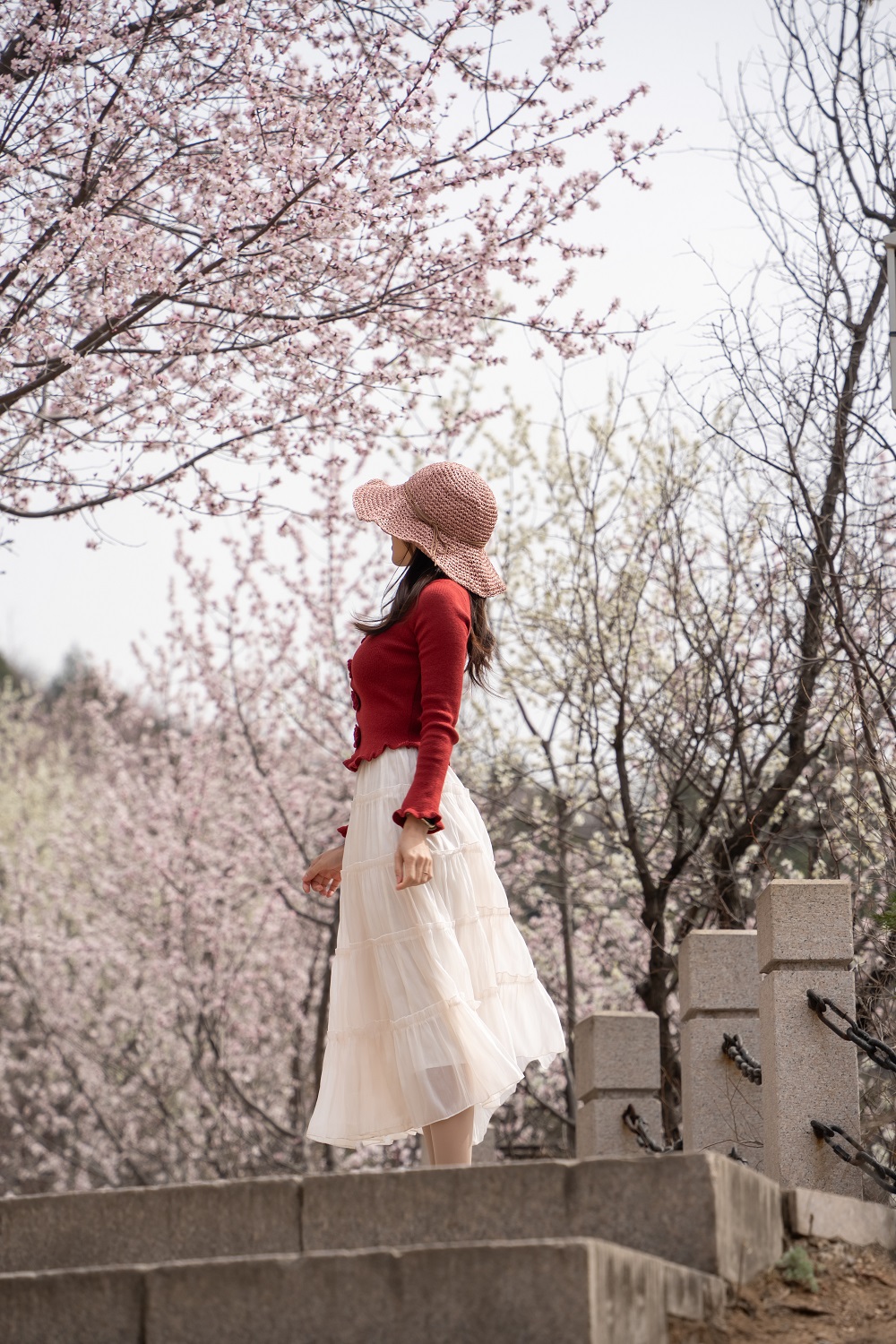 TA TRẺ VUI ĐỜI XUÂN TƯƠI