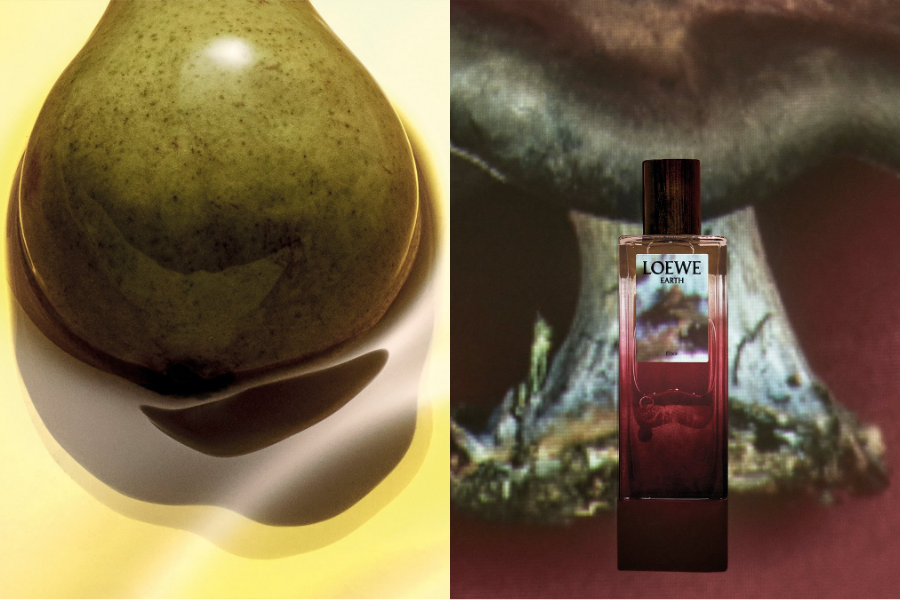 tinh-hoa-co-dong-loewe--elixir-toa-huong-dau-nam-moi-2026_699e8c9088a8f.png