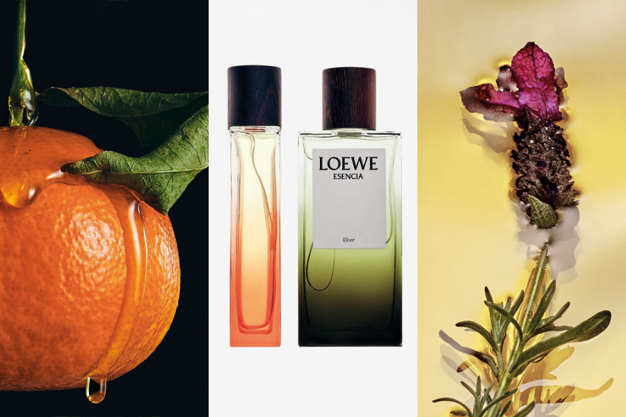tinh-hoa-co-dong-loewe--elixir-toa-huong-dau-nam-moi-2026_699e8c908aeba.png