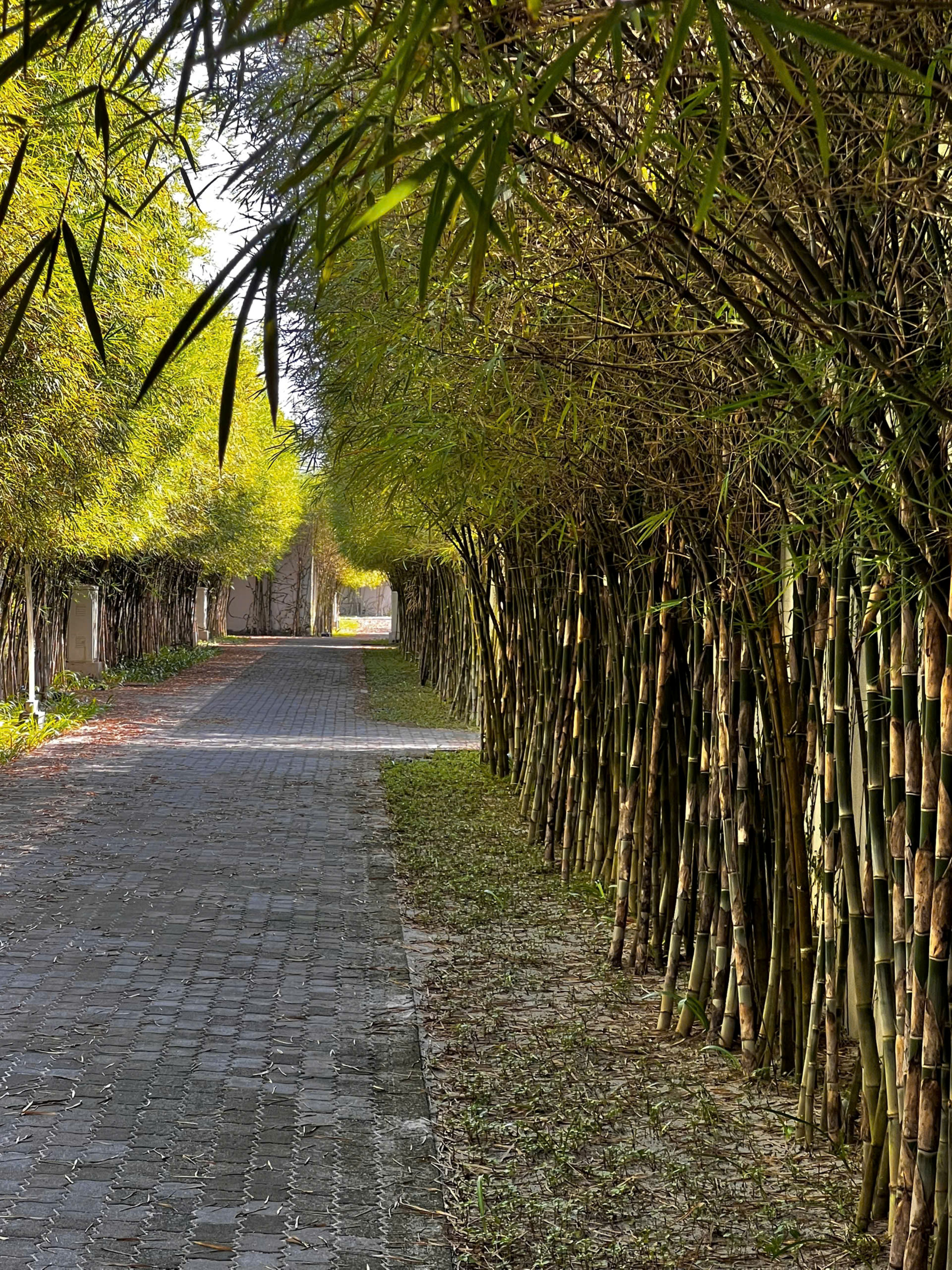 Tận hưởng kỳ nghĩ riêng tư tại ốc đảo xanh giữa đảo Ngọc