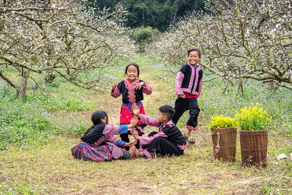 tết hmong