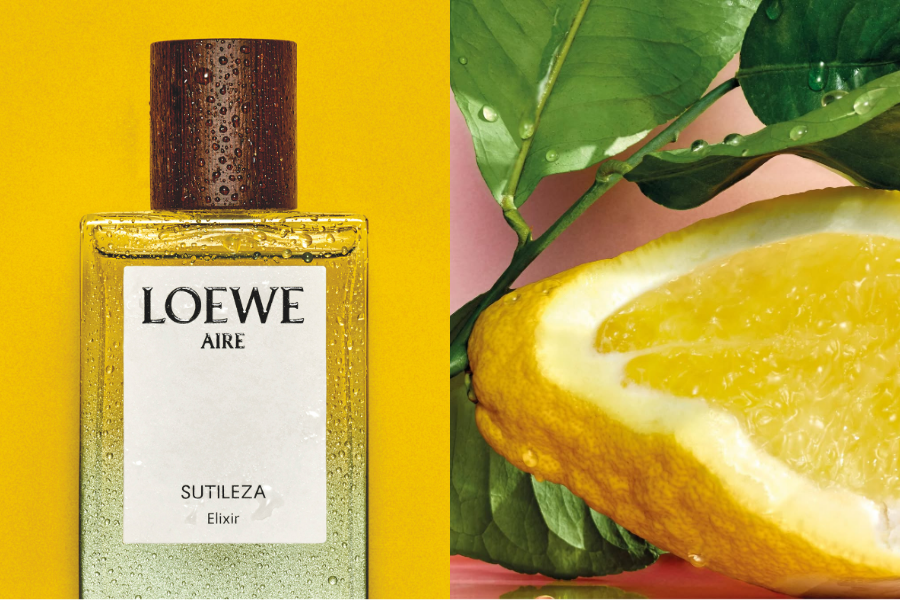 Phiên bản Elixir cô đọng của Aire Sutileza hứa hẹn mang đến trải nghiệm mùi hương độc bản