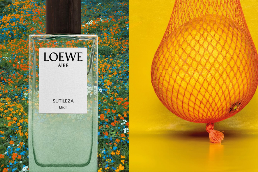 Mở ra bằng hợp hương Citrus với nốt hương Lê đặc trưng - LOEWE Aire Sutileza Elixir thổi làn gió mát cho mùa hè nhiệt đới