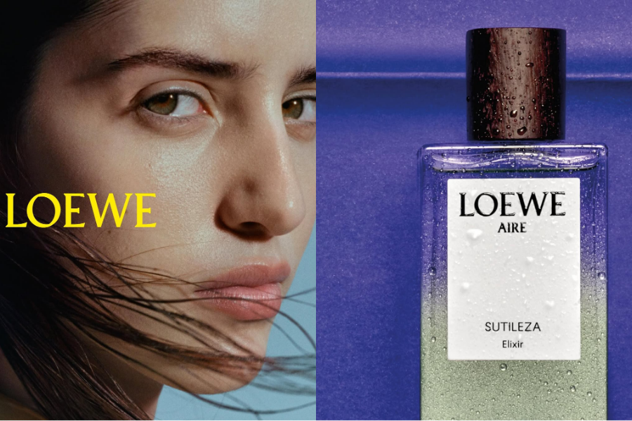 Hợp hương Hoa Trắng - tâm điểm của Aire Sutileza Elixir làm mùi hương trở nên mảnh mai nhưng đầy kiêu hãnh