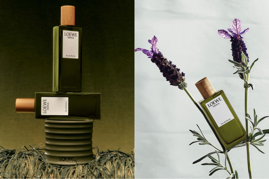 LOEWE Esencia - ba phiên bản, một bản sắc nam tính vượt thời gian