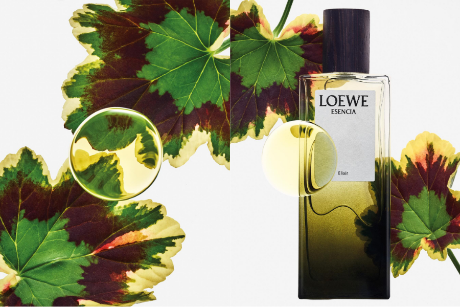 LOEWE Esencia - ba phiên bản, một bản sắc nam tính vượt thời gian