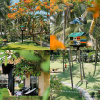 Seahorse Resort & Spa – Khoảng xanh bình yên giữa mùa hè Mũi Né