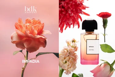 Impadia – Hình ảnh Paris dưới góc nhìn nghệ thuật