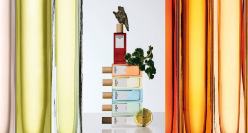 Mùi hương – món quà của ký ức và cảm xúc