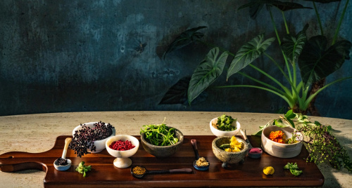 Xu hướng ẩm thực & cocktail 2026 qua lăng kính Kimpton