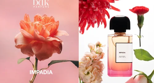 Impadia – Hình ảnh Paris dưới góc nhìn nghệ thuật